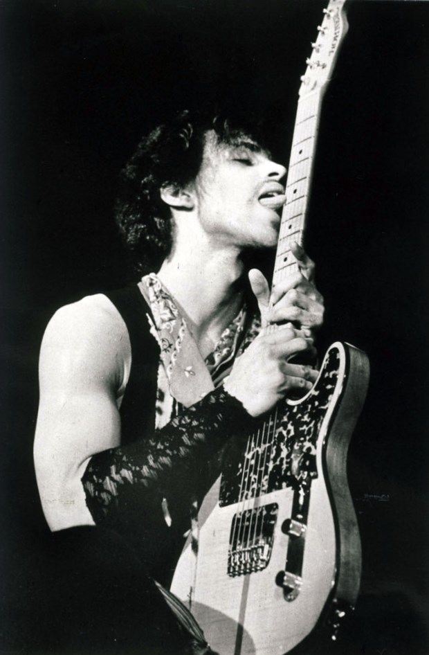 Prince