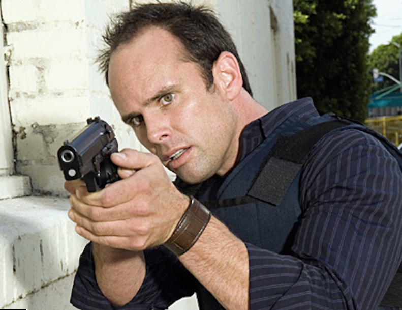Walton Goggins - Best Movies & TV shows Walton Goggins