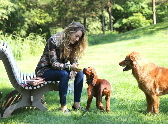 blake-lively-pets-4