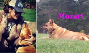 Salma Hayek`s animals