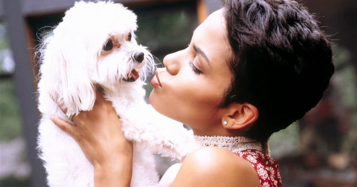Halle Berry Dog Willie halle-berry-pets-3