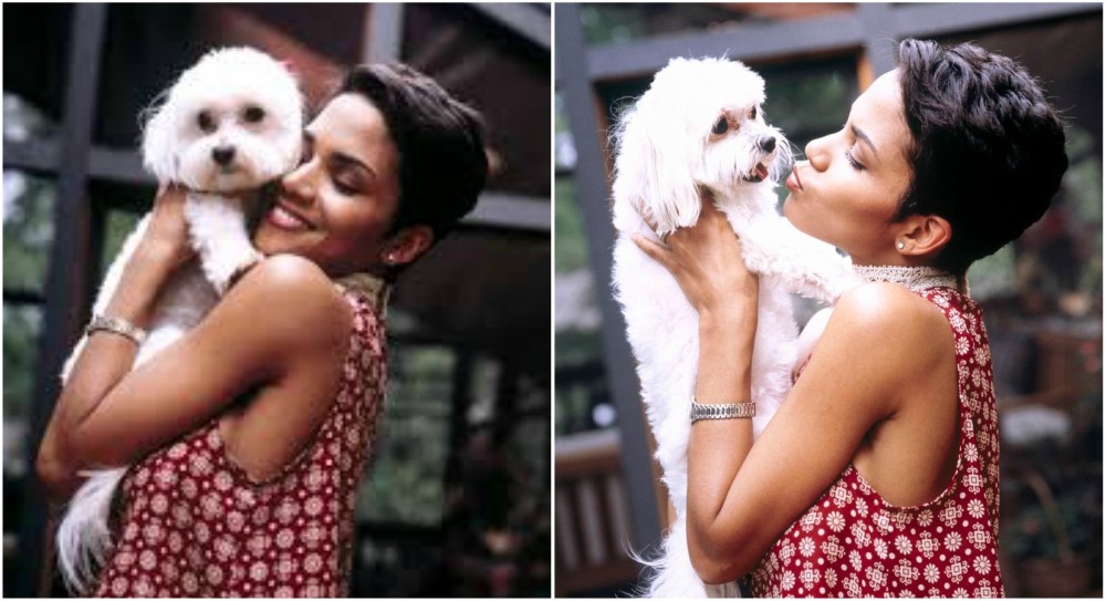 Halle Berry Pets halle berry pets
