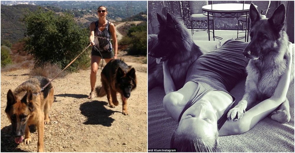 Heidi Klum Dogs heidi klum pets