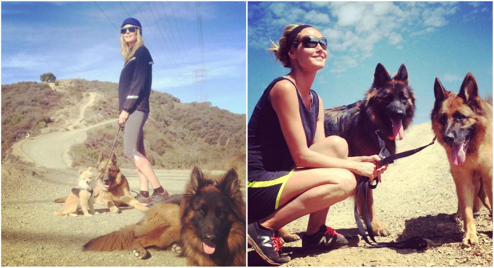 Heidi Klum Dogs - Max, Freddy, Simba heidi klum pets