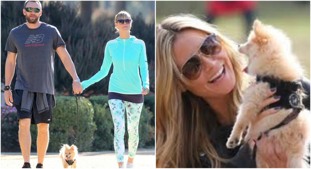 Heidi Klum Dogs heidi-klum-pets-9-3