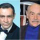 Sean Connery's eyes and hair color