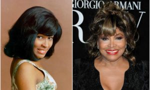 Tina Turner’s eyes and hair color