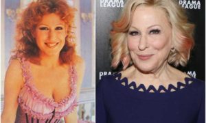 Bette Midler's eyes and hair color