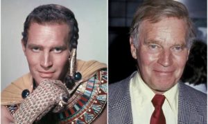 Charlton Heston's eyes and hair color