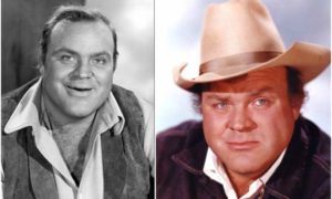 Dan Blocker’s height, weight. Impact on the entertainment industry
