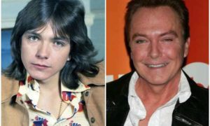 David Cassidy's eyes and hair color