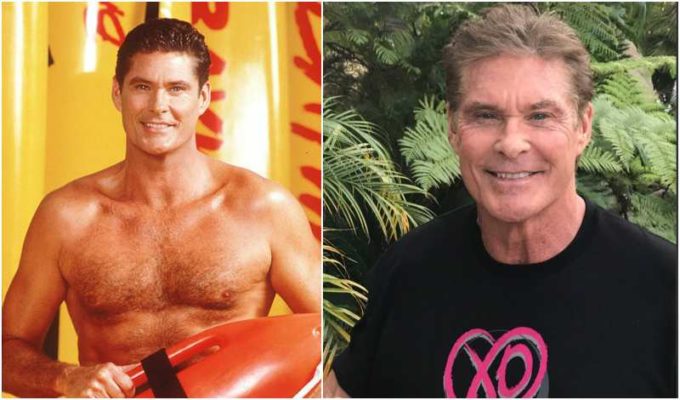 David Hasselhoff's eyes color - blue and hair color - dark brown David Hasselhoff's eyes and hair color