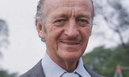 David Niven's eyes and hair color