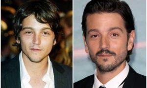 Diego Luna's eyes and hair color
